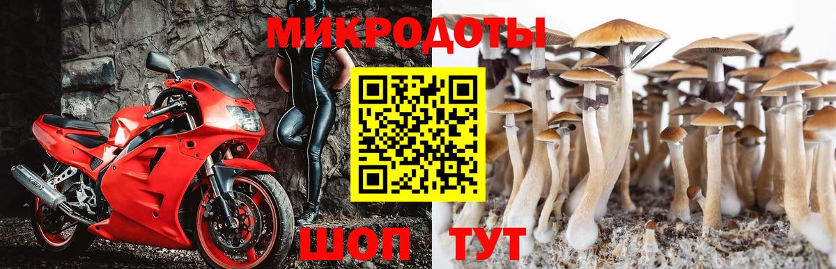 Майкоп  сколько стоит  Галлюциногенные грибы Cubensis  Вход с VPN  Галлюциногенные грибы Psilocybine cubensis 