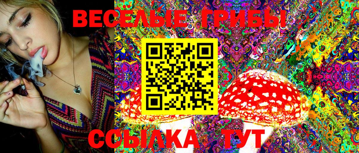 Галлюциногенные грибы Cubensis Майкоп