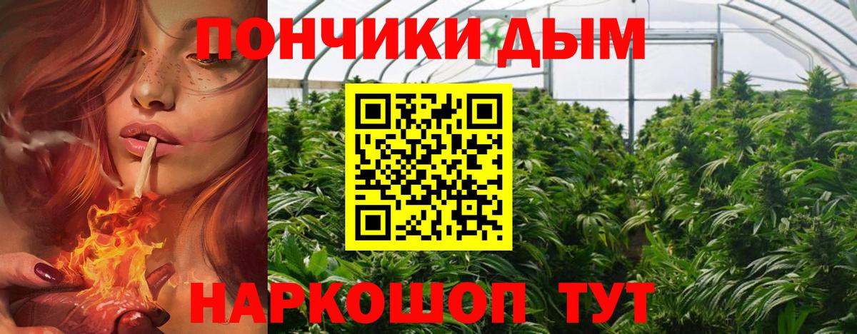 МАРИХУАНА THC 21% Майкоп